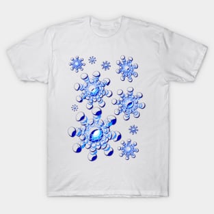 Winter Thoughts T-Shirt